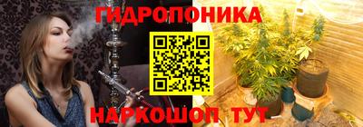 дмт Новоалександровск