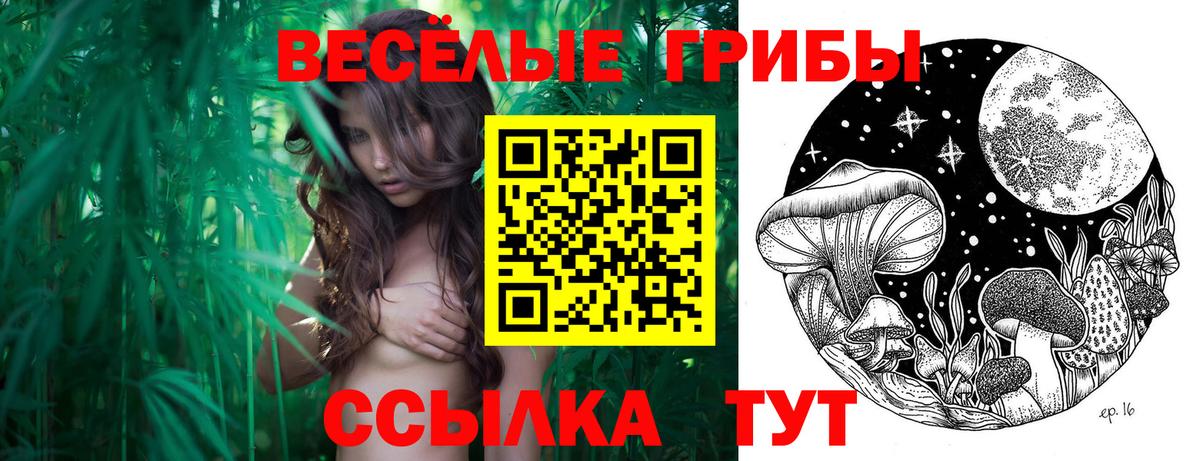 Галлюциногенные грибы Psilocybe Екатеринбург